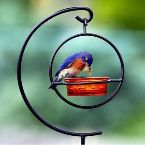Orange Glass & Black Coated Steel Hanging Feeder With Stake Sold Out New 🌿